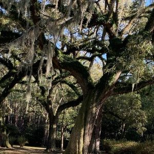 Meet your Posher, Karla